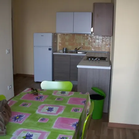 Summertime セニガッリア