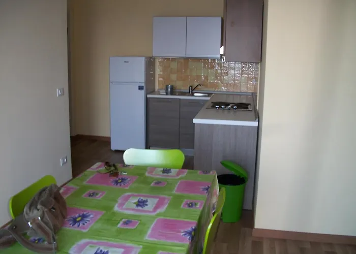 Summertime セニガッリア